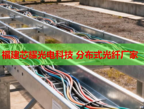 2026年福建点点娱乐平台官网：哈尔滨分布式光纤技术领先品牌