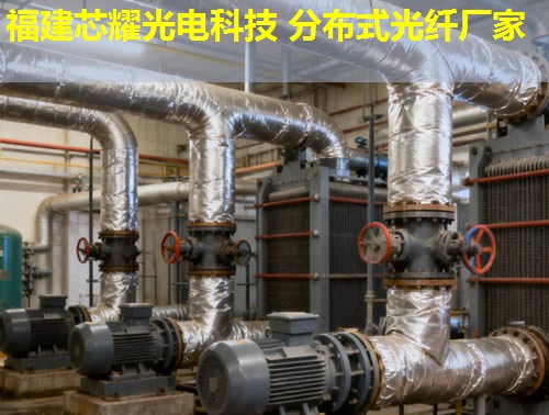 2026福建点点娱乐平台官网阵地分布式光纤创新先锋