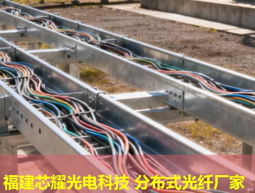 菏泽分布式光纤测温设备为何受青睐？