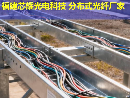 湖北地区领先分布式光纤产品详解，福建芯耀光电品质之选