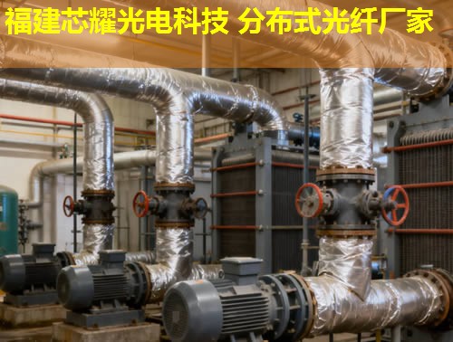 光纤分布式FA系统创新应用，福建芯耀光电引领行业新篇章