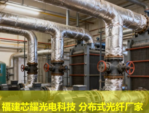 分布式光纤道路，如何实现更高效的路网通信？