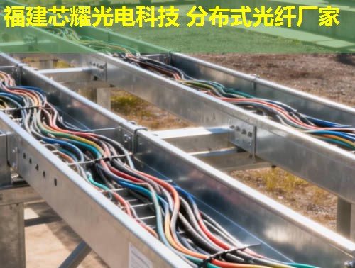2026年分布式光纤传感技术排行榜：前10强厂家解析