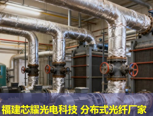 分布式光纤传感系统品牌精选指南