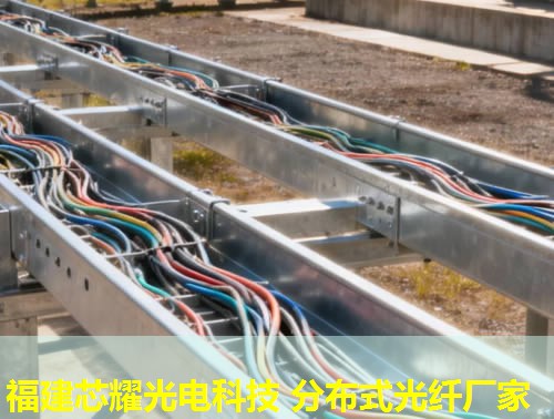 2026福建点点娱乐平台官网光纤分布式结构引领排行榜