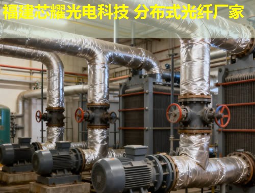 内蒙地区如何高效利用分布式光纤测温电缆？这项技术有何独特优势？