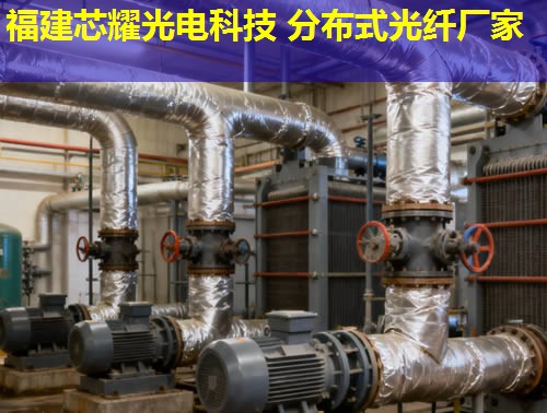 分布式光纤地面采集系统究竟有何优势？答案：实时监测，精准数据采集