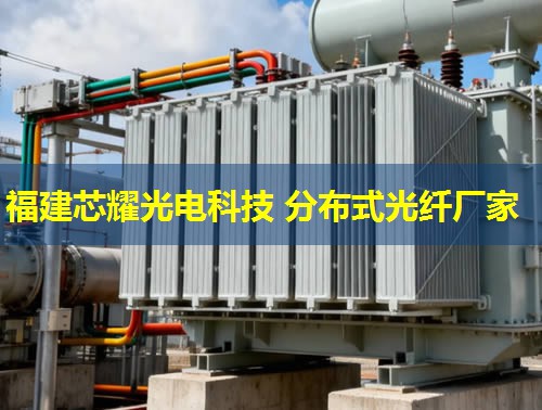 河北地区分布式光纤技术应用前景广阔，助力智慧城市建设新篇章。光纤网络覆盖广，信息传输效率高。