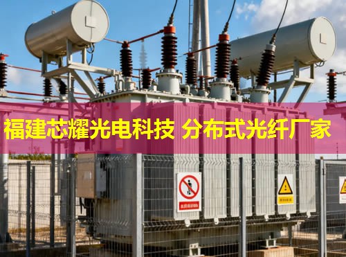 分布式光纤震动系统哪家性能卓越