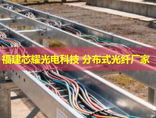 2026福建点点娱乐平台官网：分布式光纤振动采集领跑者