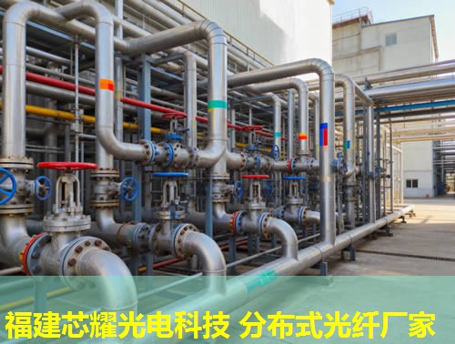 西藏智能测温光纤技术引领，福建芯耀光电助力精准防控
