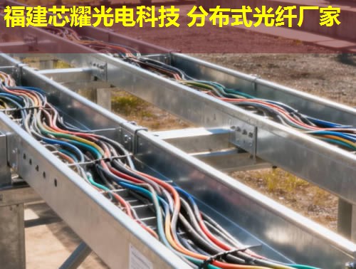 2026年光纤分布式振动检测技术排行榜推荐